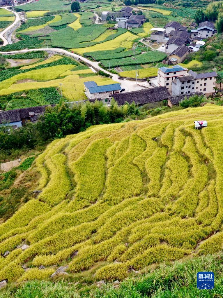 娱乐平台用户登录平台
